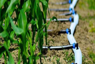 Agricultorii pot beneficia de granturi pentru producerea și utilizarea energiei regenerabile în irigare