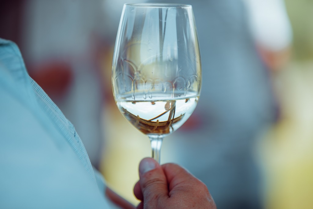 USAID oferă granturi pentru susținerea micilor producători de vinuri