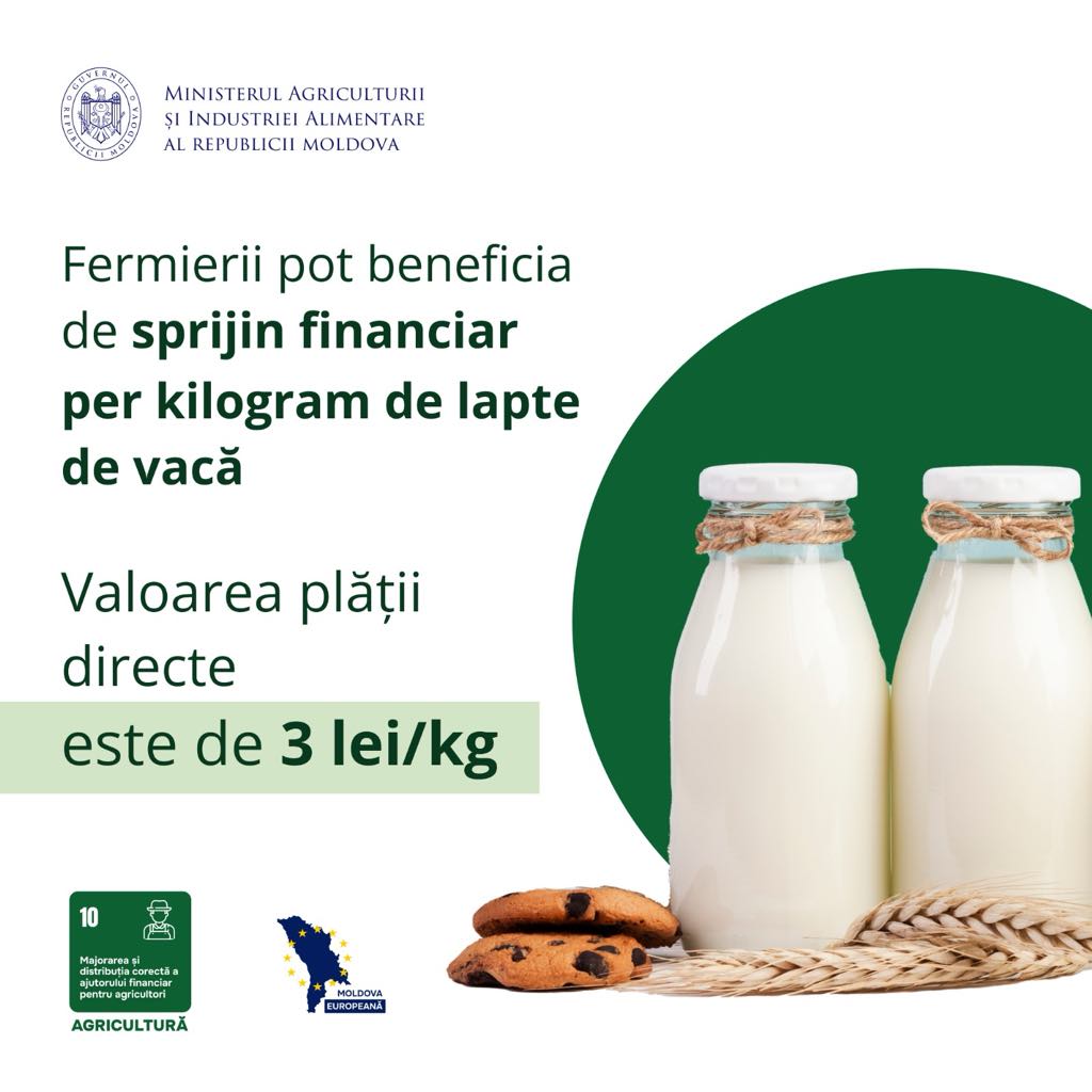 Statul sprijină fermele de vaci de lapte: se oferă 3 Lei pentru fiecare kilogram