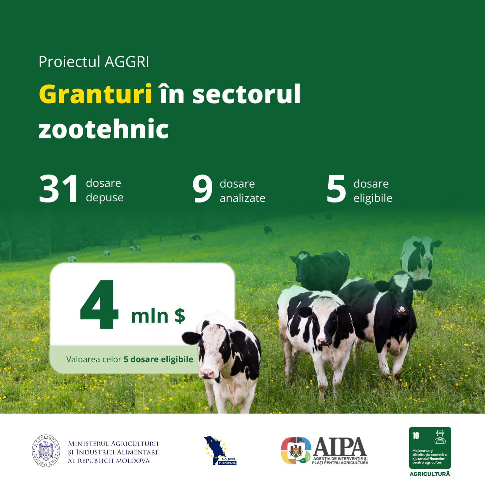 5 crescători de bovine pentru lapte vor beneficia de granturi de 4 milioane USD în cadrul proiectului AGGRI