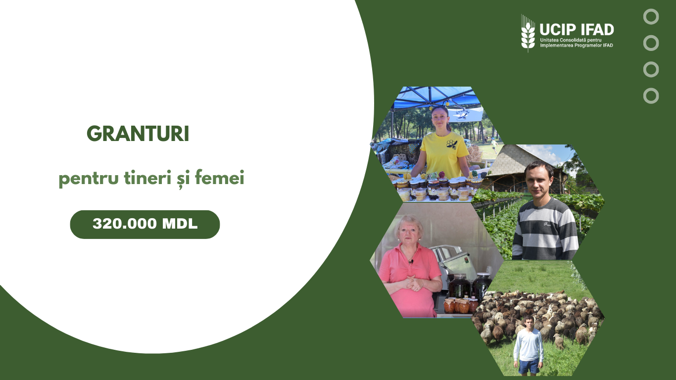 UCIP IFAD susține dezvoltarea afacerilor pentru tinerii și femeile din mediul rural