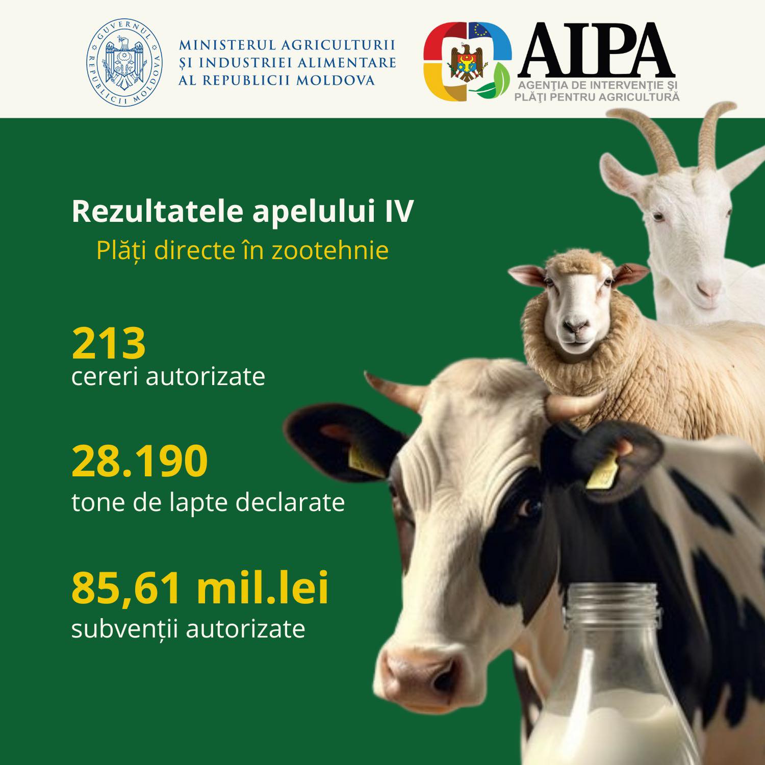 Fermierii au fost subvenționați cu peste 85 milioane lei pentru laptele produs în semestrul II din 2024