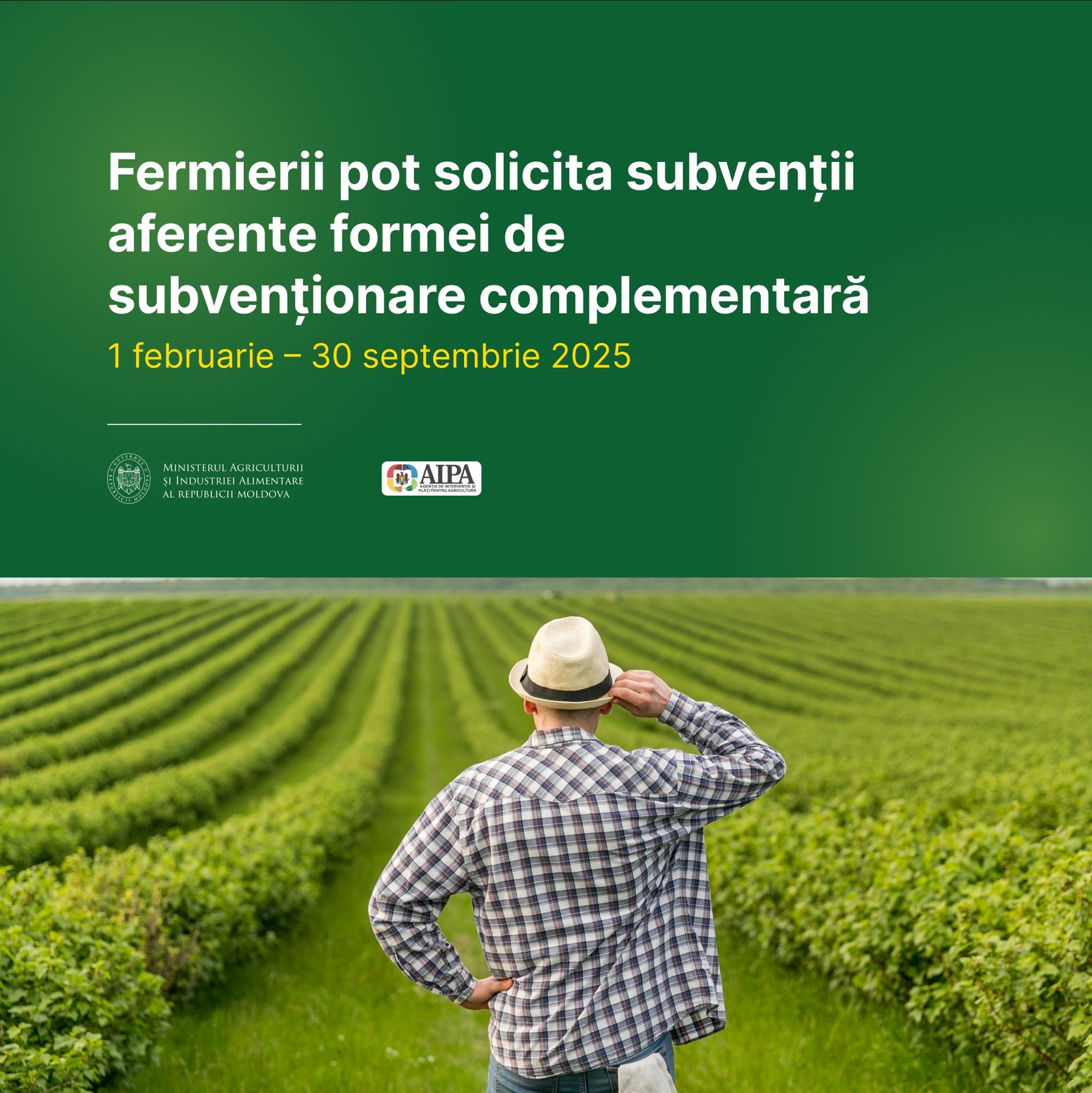 Subvenții complementare: 427 de cereri depuse în primele patru luni