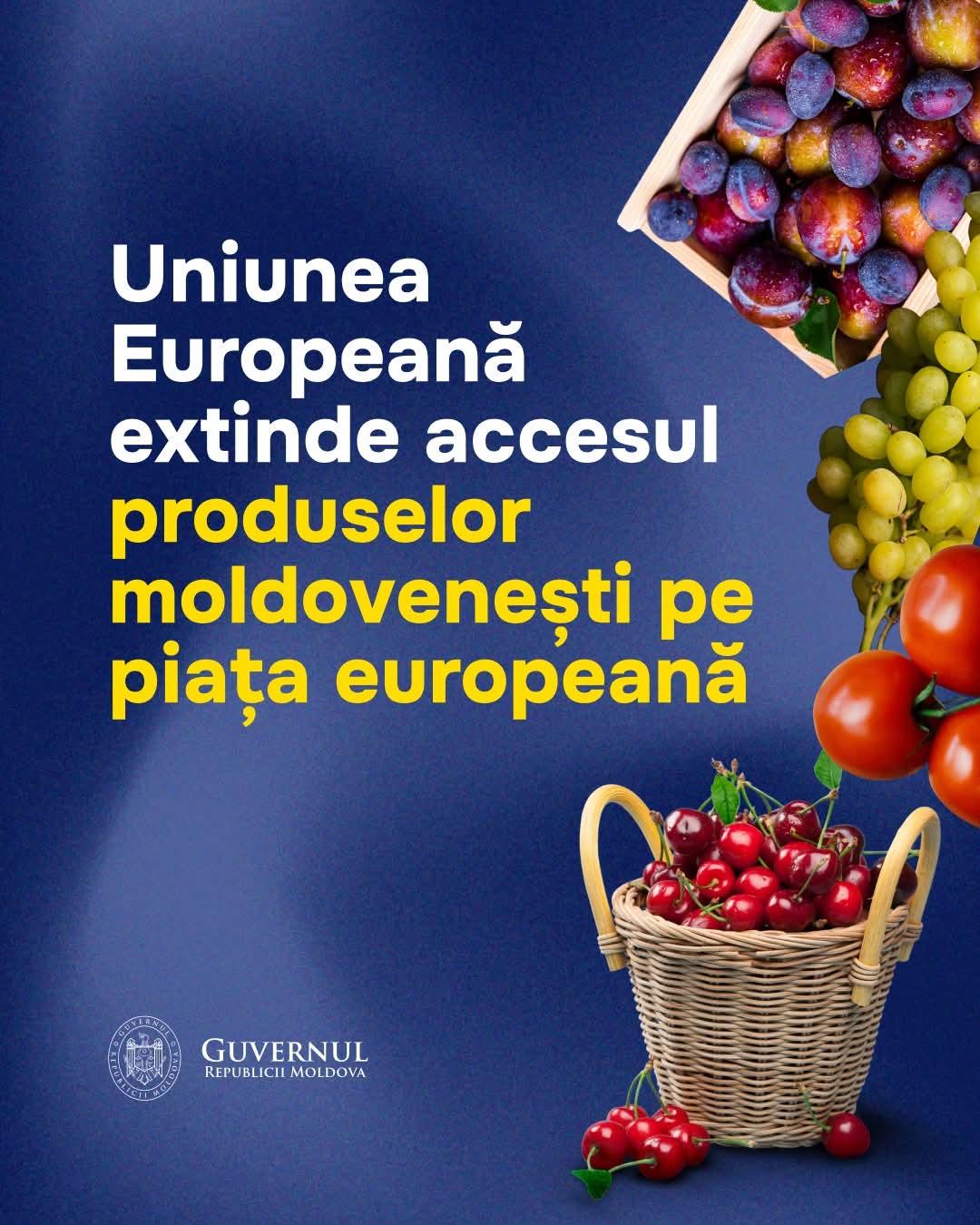 Republica Moldova va exporta fără taxe cu zeci de mii de tone mai multe cireșe, prune, mere și struguri în Uniunea Europeană