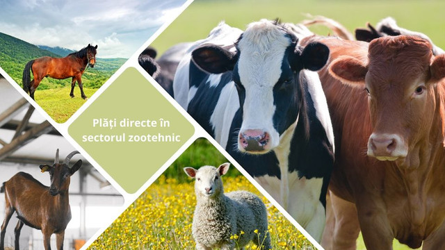 Au mai rămas câteva zile în care pot fi depuse cererile de solicitare a subvenției pentru plata directă