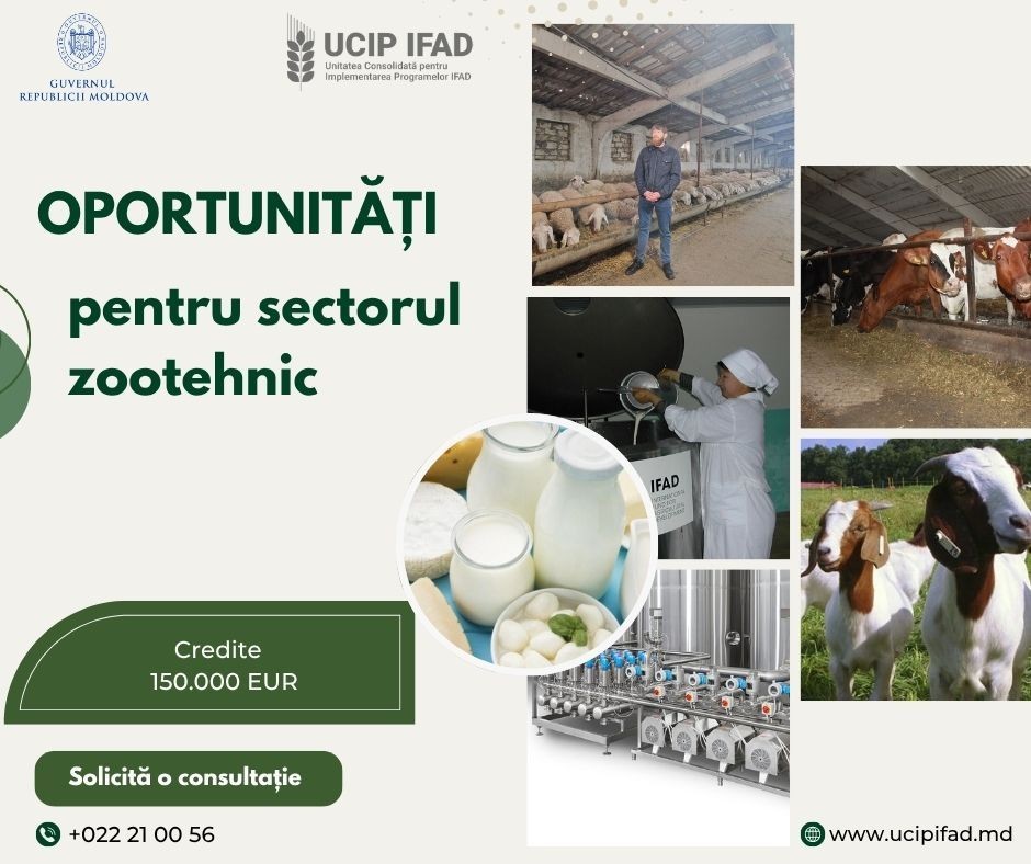 IFAD oferă finanțare pentru investiții în domeniul zootehnic