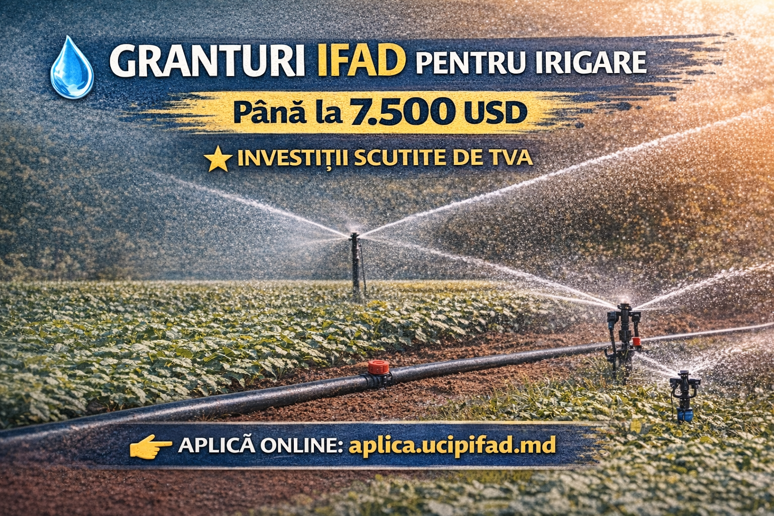 Granturi IFAD pentru echipamente eficiente de irigare